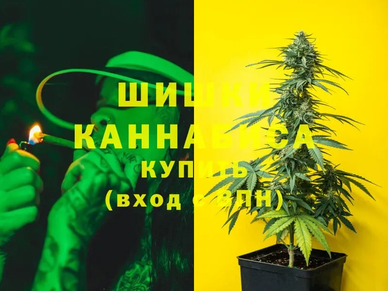 что такое   Ахтубинск  Каннабис SATIVA & INDICA 